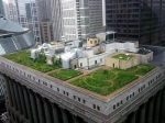 green-rooftop city